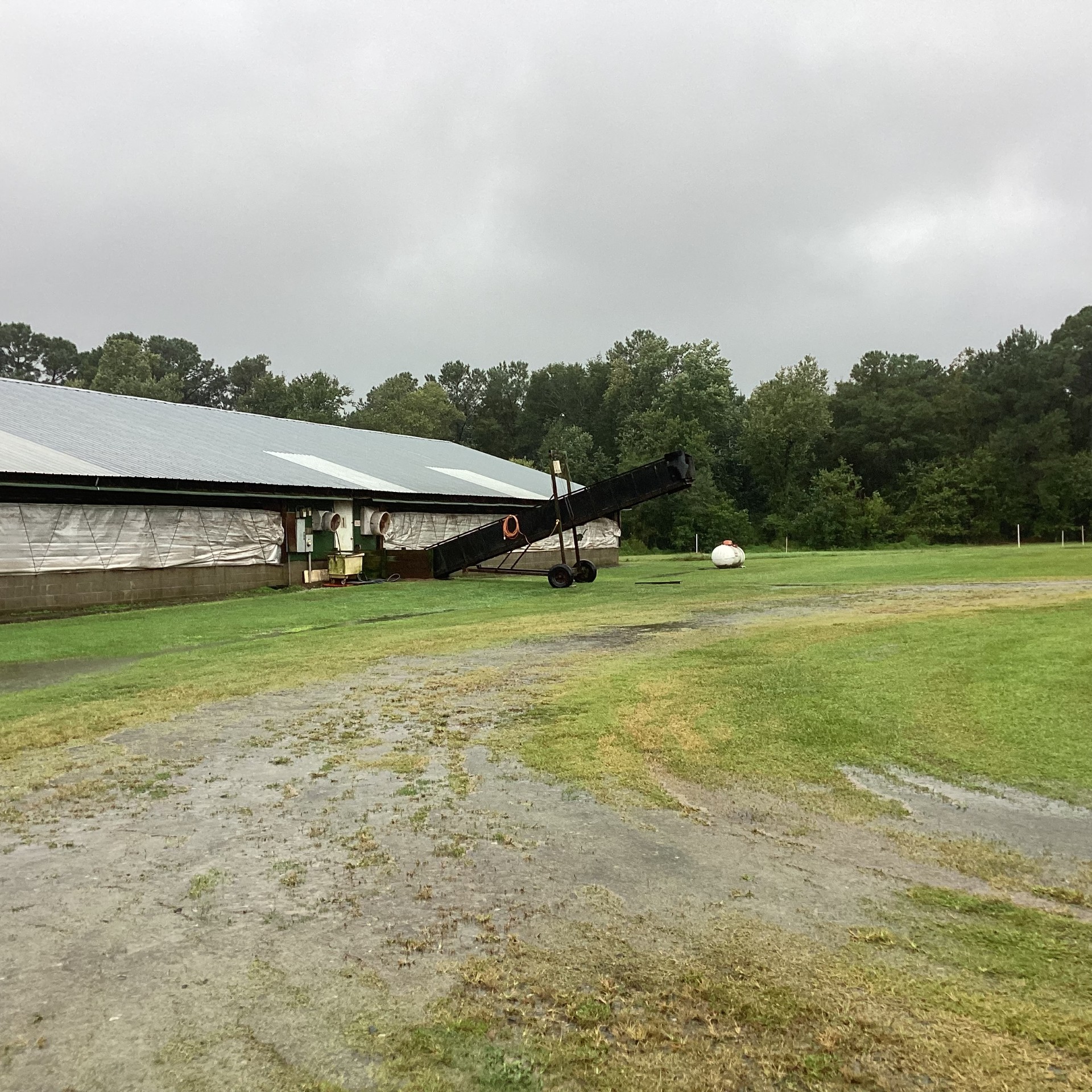 Duplin County Nursery Farm, Cypress Creek, photo 10