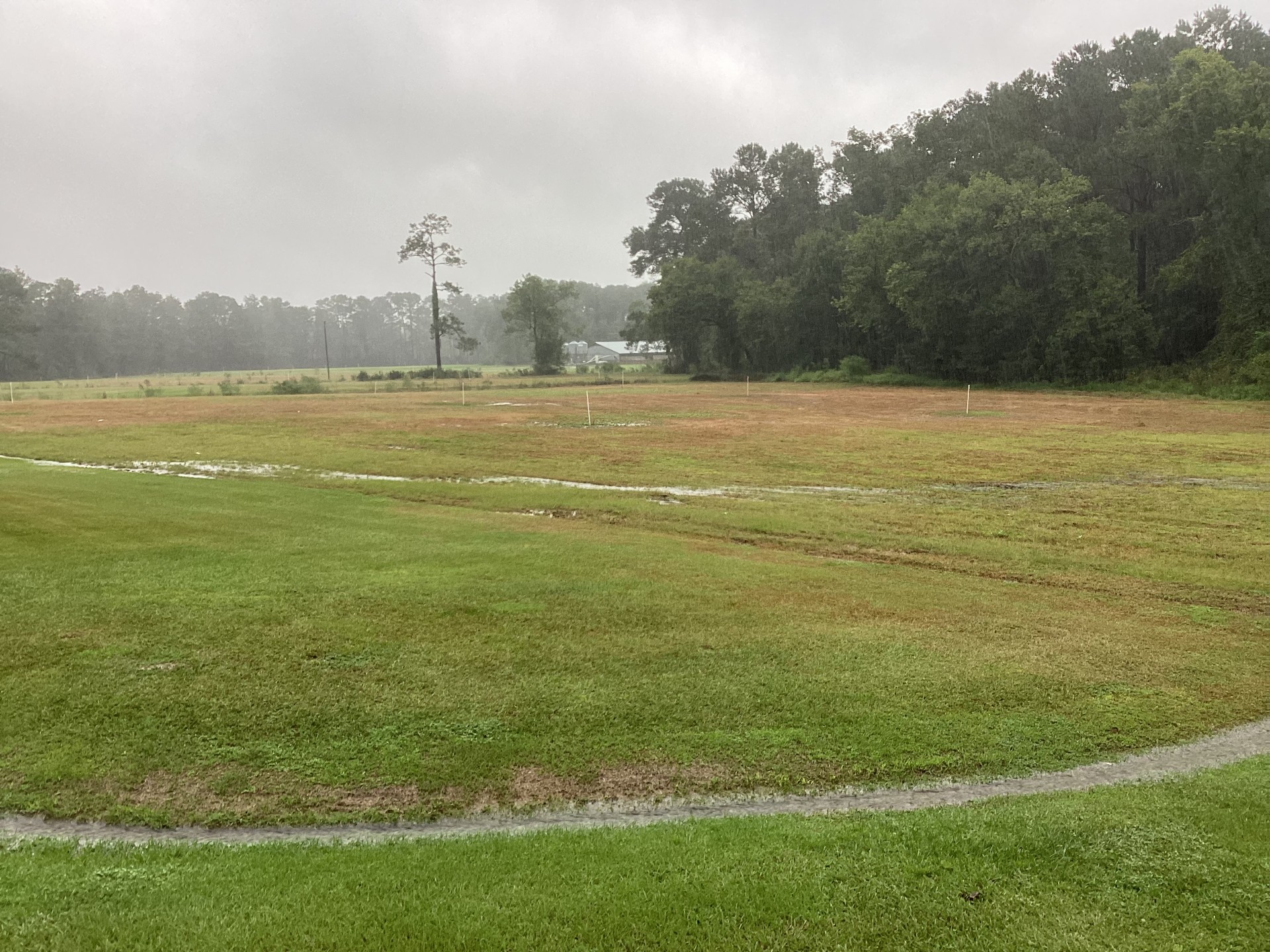 Duplin County Nursery Farm, Cypress Creek, photo 3