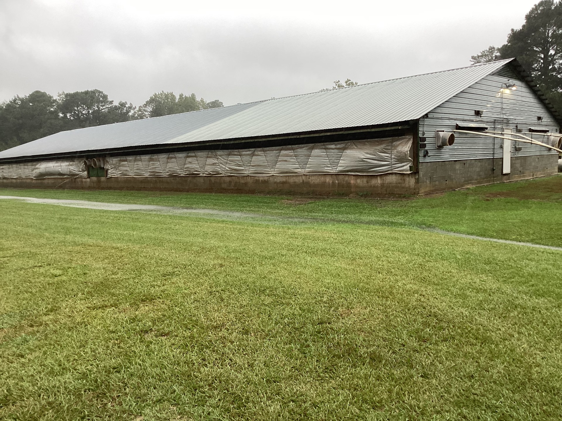 Duplin County Nursery Farm, Cypress Creek, photo 5