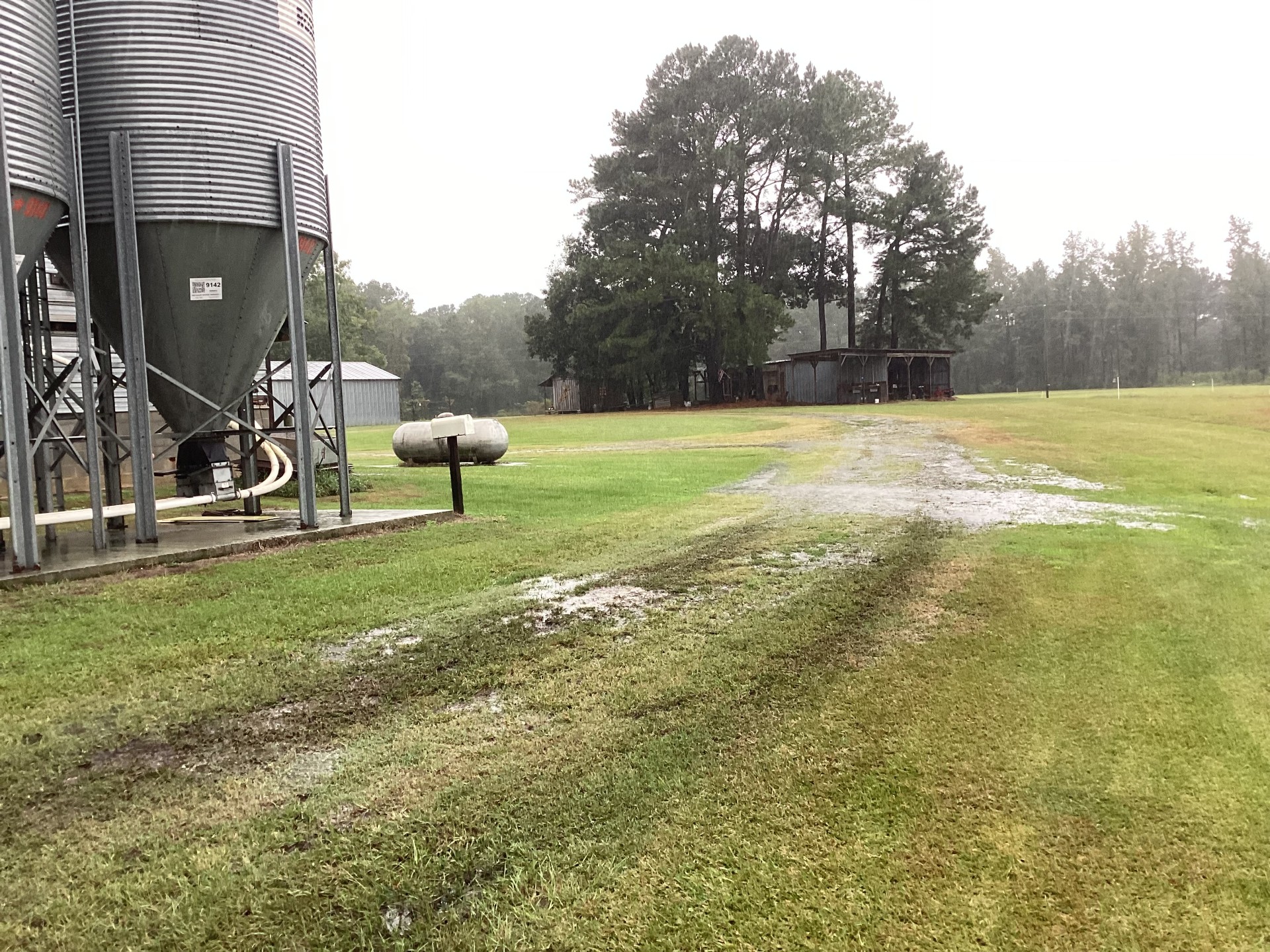 Duplin County Nursery Farm, Cypress Creek, photo 6
