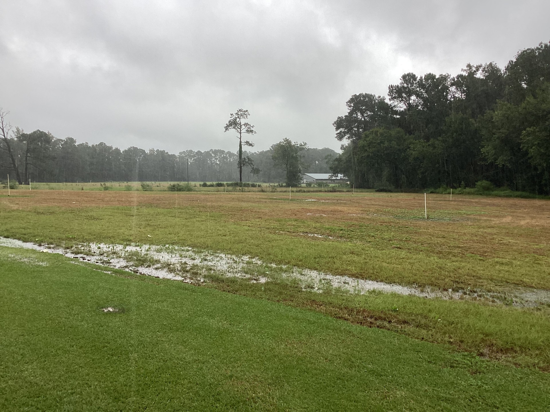 Duplin County Nursery Farm, Cypress Creek, photo 7