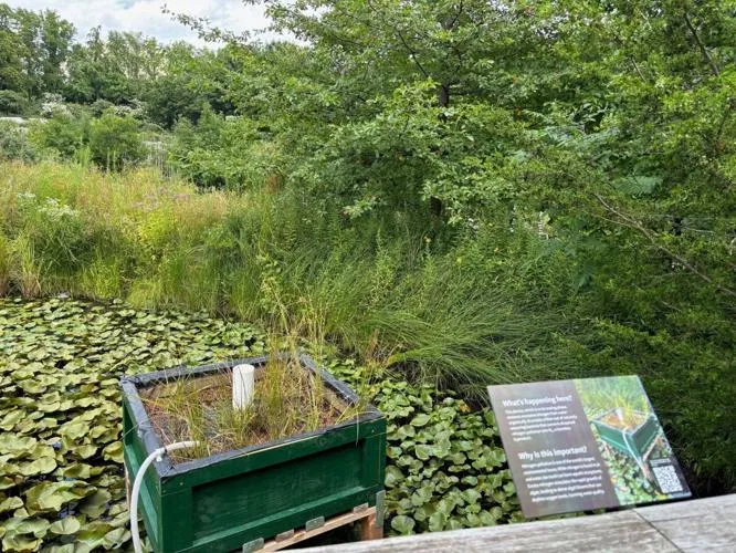 A NutriFilter installation at the Brooklyn Botanic Garden
